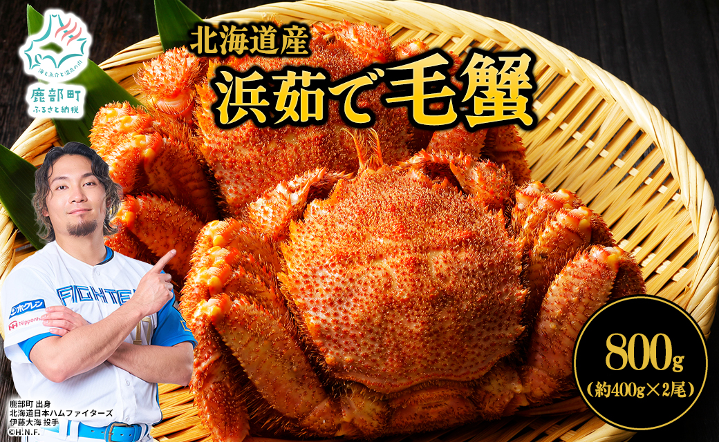 【北海道産】 ボイル毛蟹 約800g（400g前後×2尾）蟹 カニ 冷凍 