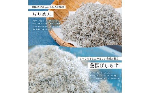 一級品 しらす 1kg 釜揚げ  |  冷凍 しらす ちりめんじゃこ しらす干し ごはんのお供 おつまみ 酒の肴 便利 簡単調理 おかず 惣菜 しらす丼 グルメ 食品 魚 魚介 海鮮 シラス 贈答 ギ