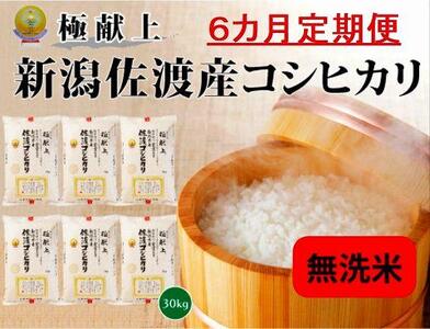 【新米・先行予約】無洗米30kg 新潟県佐渡産コシヒカリ30kg(5kg×6)×6回「6カ月定期便」