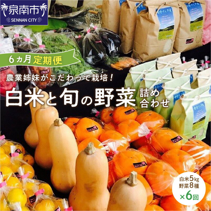 【ふるさと納税】農業姉妹がこだわって栽培！ 白米5kgと旬の野菜詰め合わせ8種 半年コース 定期便