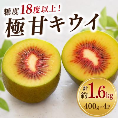 ふるさと納税 牧之原市 【先行受付】糖度18度!希少品種　極甘キウイ　レッドキウイ　400g×4パック