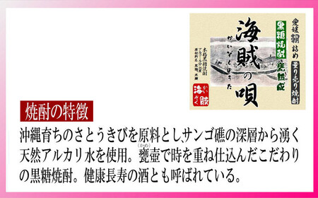 黒糖焼酎 家飲み「海賊の唄」10L【愛媛朝詰め】量り売り焼酎 かめ貯蔵 居酒屋風 マイサーバー