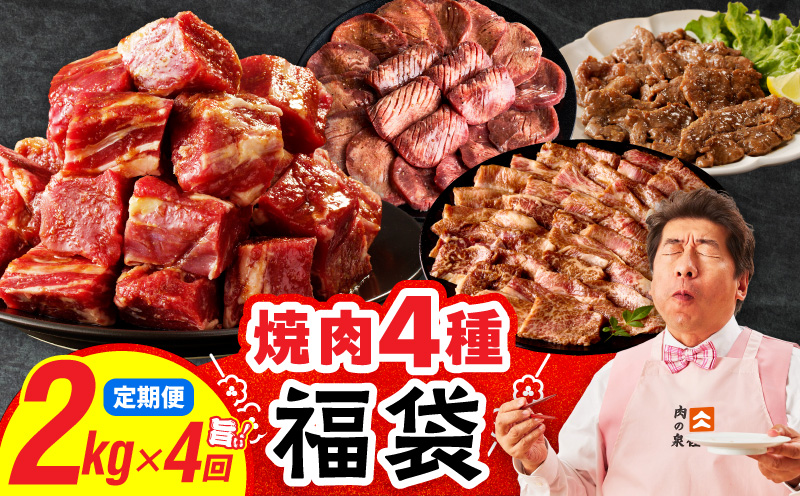 焼肉 福袋 4種セット 定期便 2kg×4回【氷温熟成×特製ダレ 食べ比べ 小分け 500g 牛肉 牛タン ヒレ ハラミ バラ 数量限定 毎月配送コース 大阪 泉佐野 大阪府 泉佐野市】
