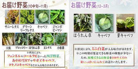 野菜セット 季節毎の新鮮野菜セット 詰め合わせ 旬 【野菜セット】【ho1537】