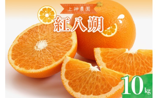【先行受付】 【2027年3月上旬～発送】 上神農園の紅八朔 約10kg 柑橘 はっさく 産地直送 上神農園 紅八朔 ジューシー 広島県呉市 広島県 呉市 広島 呉 ku011-021-26