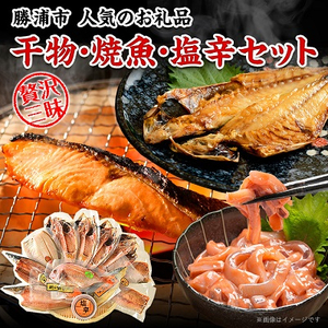 干物・焼魚・塩辛セット 4~6種10枚 株式会社鈴八フーズ 《90日以内に出荷予定(土日祝除く)》【配送不可地域：離島】| 干物セット 干物セット 干物セット