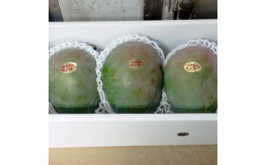【先行受付】【2025年発送】キーツマンゴー 南城市 約2kg (2～3玉)
