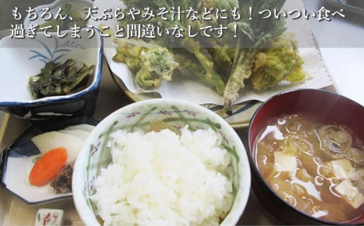 【4回定期便】 魚沼産コシヒカリ定期便 5kg3袋×4回／隔月 令和7年産 白米 共栄農工社【0002-KY09DB00-01】
