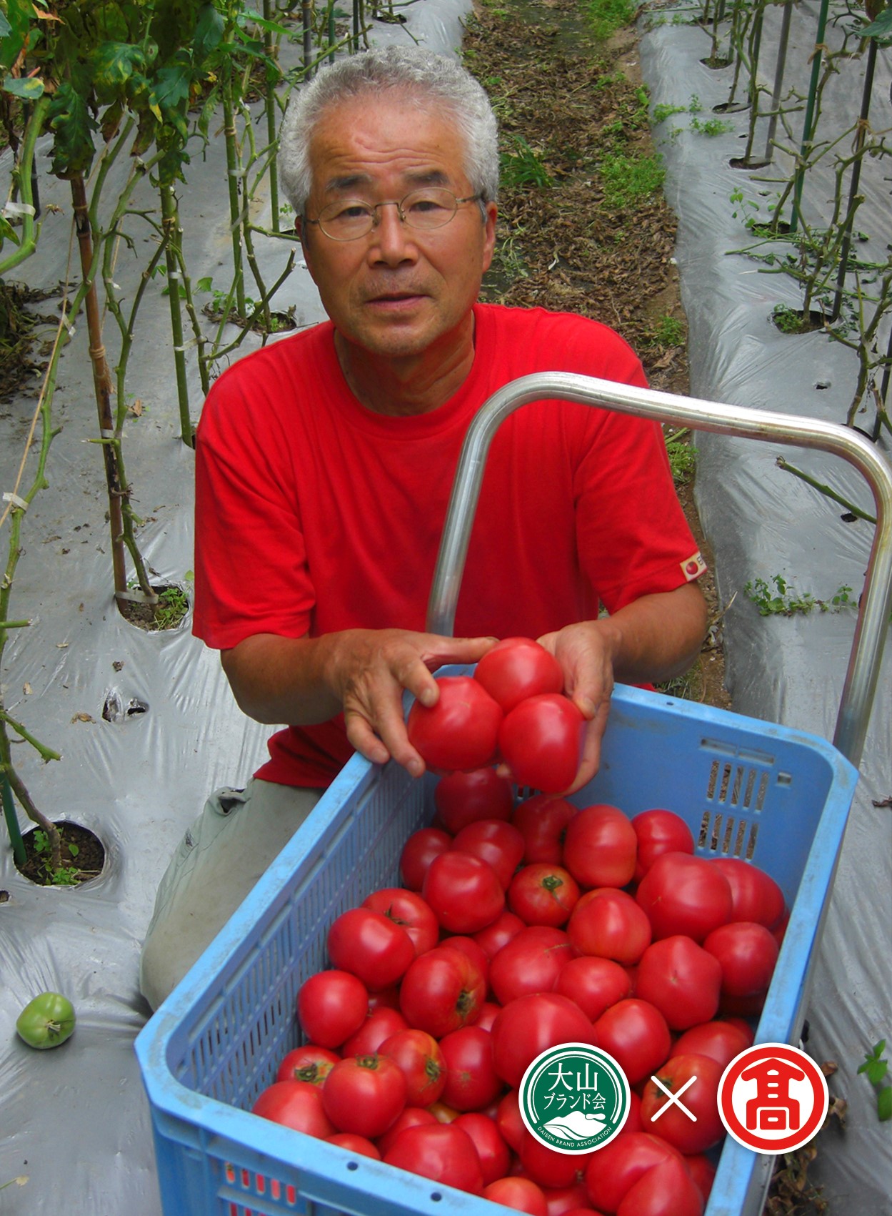 BF9＜日南トマト加工＞頒布会　日南町産トマト食べ比べセット （大山ブランド会）