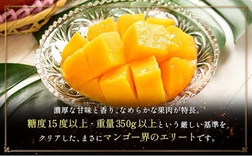 ＜2026年発送＞ フルーツ 定期便 太陽のタマゴ ピオーネ 完熟 マンゴー ぶどう 先行予約 初夏 秋 旬 果物 全2回