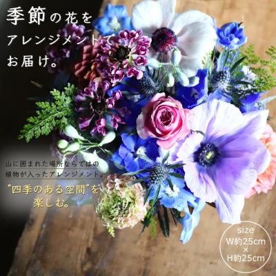 ふるさと納税 錦江町 【季節の花】生花アレンジおまかせ(No.1339-1)