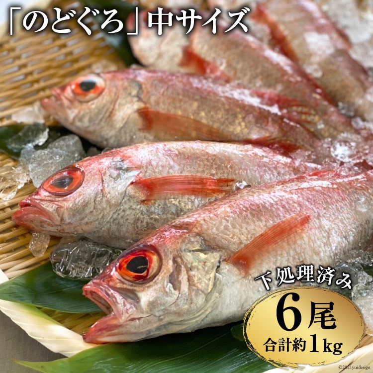 【ふるさと納税】 DF091「 のどぐろ 」中サイズ（160〜180g） 6尾　＜煮付け・塩焼き用＞ 【 アカムツ 下処理済み 魚介 魚 長崎県 島原市 送料無料 】