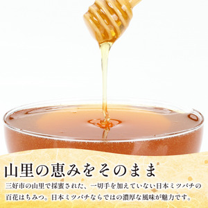 日本みつばち 蜂蜜1kg はちみつ 山里の和蜜【蜂蜜】