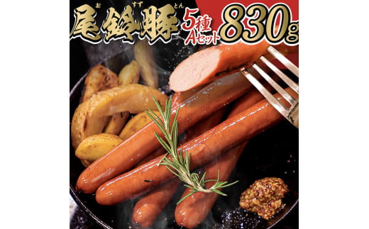 ウインナー 【PREMIUM PORK】尾鈴豚ハム・ソーセージ 詰め合わせ ５種 Aセット【 数量限定 肉 豚肉 ぶた 豚 国産 九州産 宮崎県産 ウインナ― ハム ソーセージ 加工品 】 [C09202]