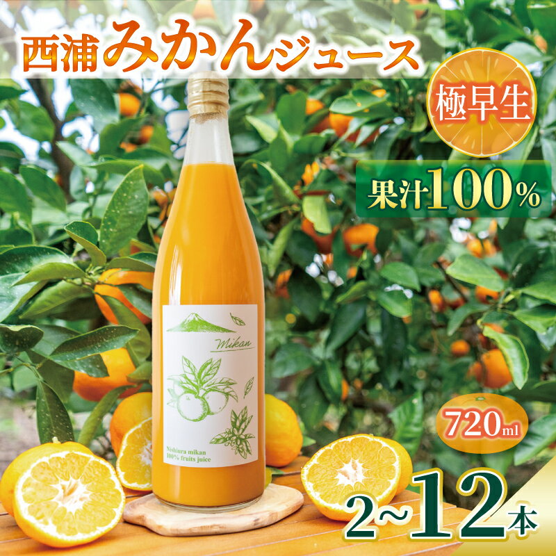 【ふるさと納税】 オレンジ ジュース ストレート 果汁 100％ 極早生 みかん 720ml×2～12本 西浦 蜜柑 濃厚 飲み物 ミカン 人気 贈答用 静岡 沼津