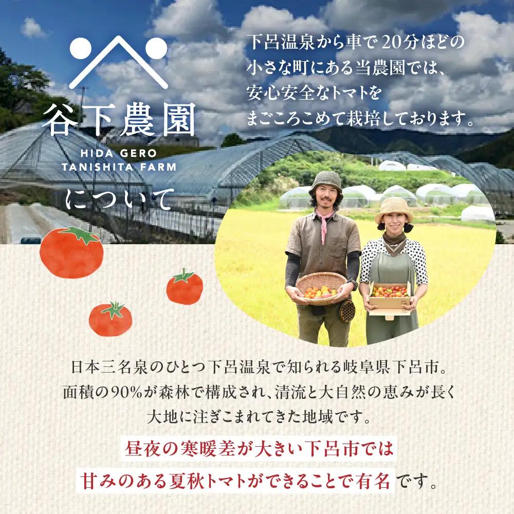 訳アリ 大玉トマト 麗月 1kg≪谷下農園 有機JAS認証農園の完熟トマト≫ トマト 【61-17】