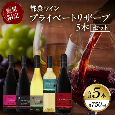 ふるさと納税 都農町 【期間・数量限定】プライベートリザーブ5本セット 酒 飲料 アルコール 国産_T014-037