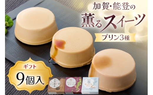 加賀・能登の素材薫るスイーツ9個入 [株式会社オハラ 石川県 津幡町 tb17bsp260004] スイーツ 和スイーツ デザート セット スイートポテト プリン 黒蜜 黒みつ 塩キャラメル