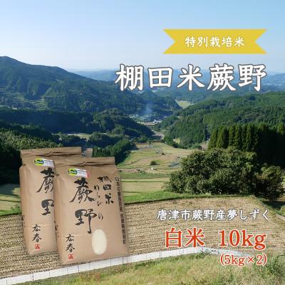 ふるさと納税 唐津市 【令和7年産】特別栽培米「棚田米蕨野」10kg(5kg×2袋)