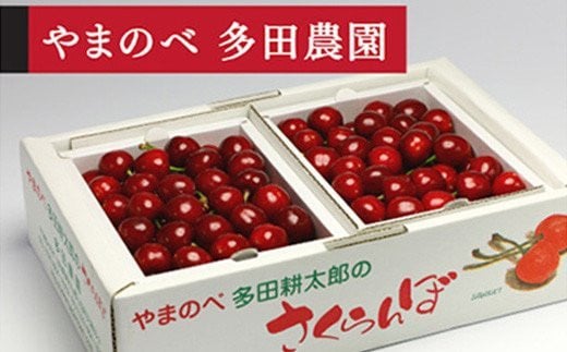 ≪2026年 先行予約≫「山形美人」バラ詰 L～2Lサイズ 500g×2「やまのべ 多田農園」 F2Y-1734