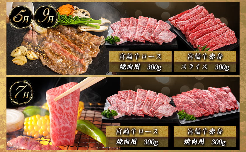 宮崎牛定期便(10ヶ月)〔T120（10）-0103〕