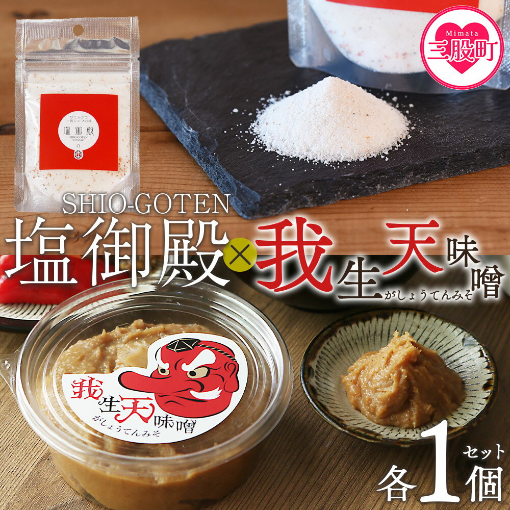 【ふるさと納税】＜我生天味噌と塩御殿(白)のセット＞ 味付き塩 うまみ 旨味塩 万能調味料 みそ ミソ 味噌 鍋料理 下味 味付け 料理用 もつ キムチ 寄せ鍋 どぶろく ドブロク お味噌汁 発酵食品 まろやか マイルド 和食 アレンジ こだわり 麦みそ【MI707-gs】【我生庵】
