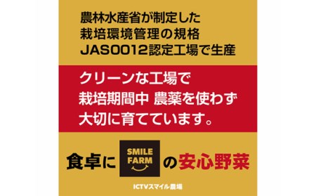 【農薬不使用】洗わず食べられる！ フリルレタス 8袋【 フリルレタス レタス サラダ 葉物 野菜 サラダ 用 レタス 緑黄色野菜 レタス 8袋 レタス 新鮮 レタス 個包装 レタス おすすめ 東松山 