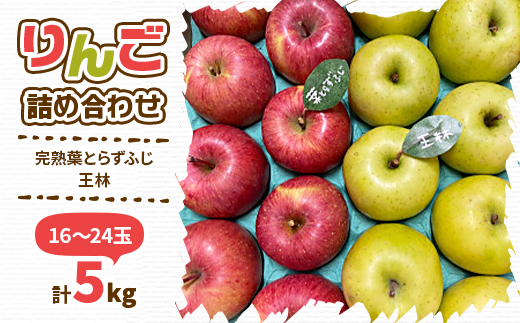 【2024年先行受付】りんご 完熟葉とらずふじ・王林詰め合わせ 5kg (16～24玉)【配送不可地域：離島・沖縄県】