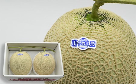 山形のアールスメロン 2玉(3kg以上)【令和8年産先行予約】FU21-634 くだもの 果物 フルーツ 山形 山形県 山形市 2026年産