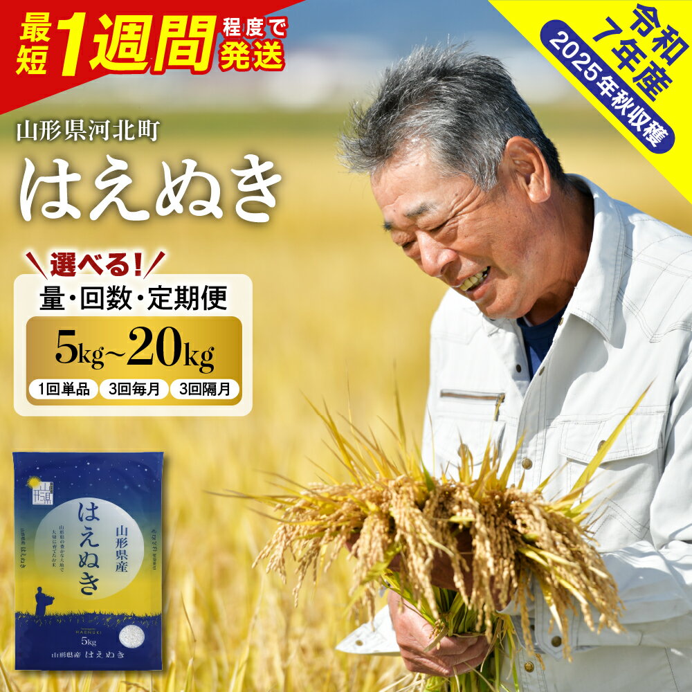 【ふるさと納税】【1週間発送 受付中!】レビュー高評価 米 はえぬき 令和7年産 ( 選べる内容量 配送時期 : 5kg / 10kg / 20kg )| 単品 定期便 毎月 隔月 最短発送 先行受付 先行予約 お米 白米 精米 ご飯 おにぎり お取り寄せ 送料無料 国産 山形県産 山形県 河北町