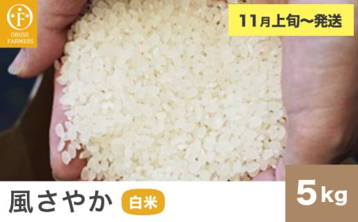 風さやか 白米  約5kg ［ おぶせファーマーズ ］ お米 コメ おこめ ご飯 精米 長野県産 【2025年11月上旬～発送】 ［FK-17］