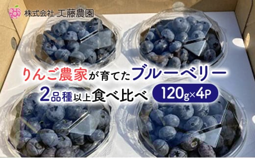 【7月発送】 青森県弘前市産 りんご農家が育てたブルーベリー 120g×4P 2品種以上 食べ比べ 工藤農園