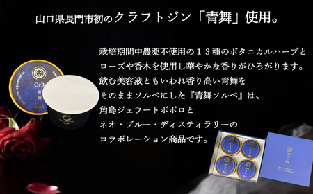 アイスクリーム アイス ジェラート 青舞 オーブ ソルベ ギフト BOX 1種 4個 セット クラフトジン 使用 酒 季節 おまかせ 下関市 山口 EZ04
