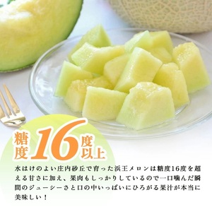 SB0918　庄内砂丘の旬夏　「浜王メロン」　約5kg(青肉/3～5玉入) 