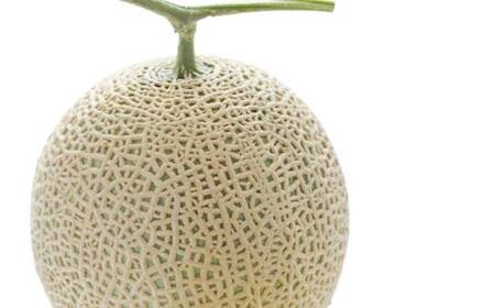 山形県産 厳選アールスメロン 秀品 3kg以上 2玉入り化粧箱 《先行受付2024年度9月発送開始》 FSY-1226