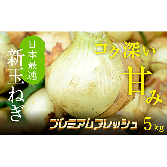 【ふるさと納税】静岡県浜松市生食甘み 浜松篠原産新玉ねぎプレミアムフレッシュ5kg【無選別品】野菜たまねぎタマネギ　お届け：2027年1月中旬～2026年3月下旬