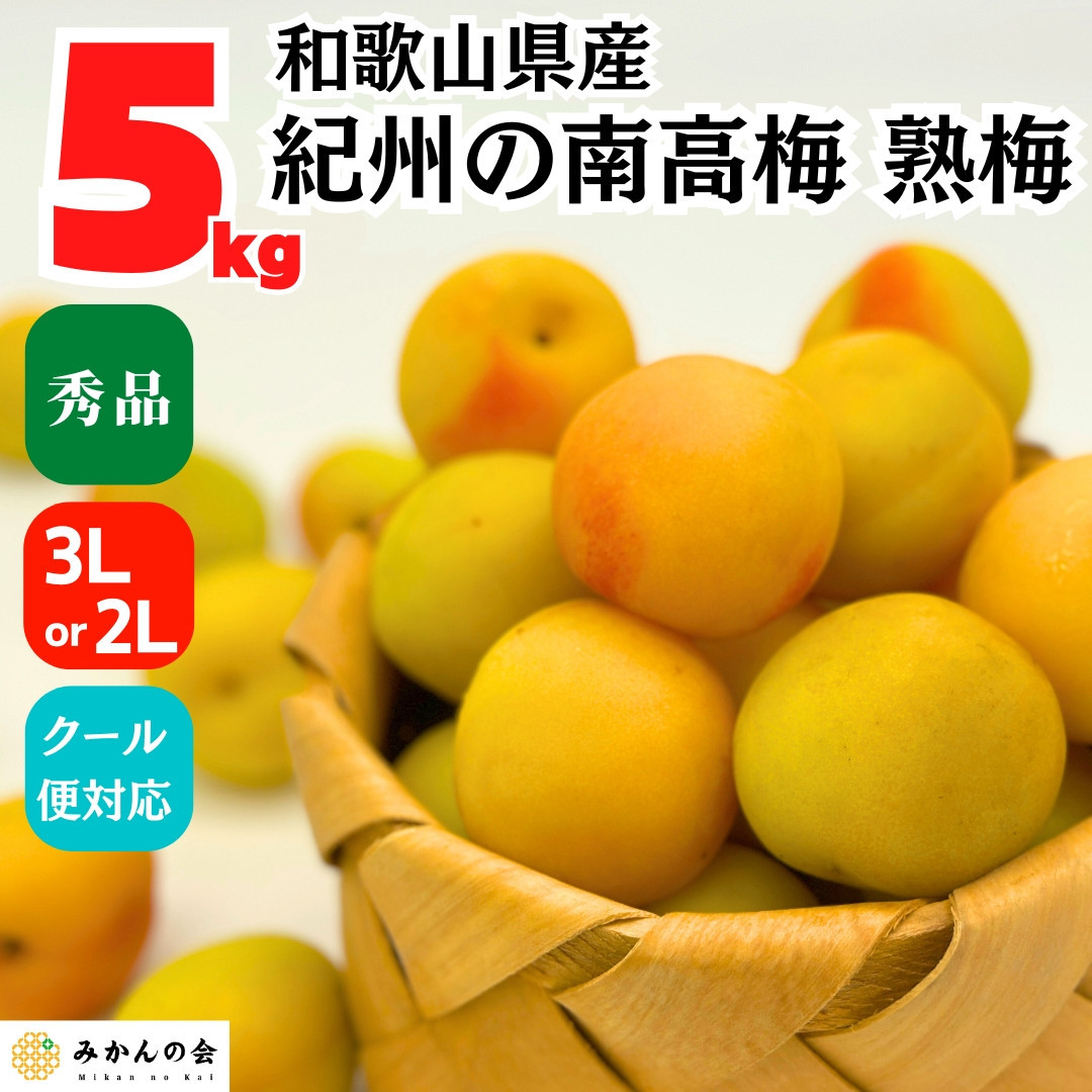 熟梅 南高梅 5kg 秀品 3Lまたは2Lサイズ 和歌山県産 A品 梅干し作り用 梅ジャム作り用