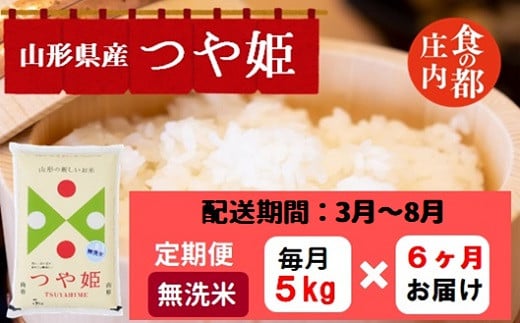 【3月～8月発送】無洗米山形県産つや姫5kg×6回【定期便6回】