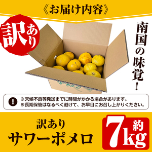 ＜先行予約受付中！2027年2月下旬以降順次発送予定＞＜訳あり・傷あり＞数量限定！サワーポメロ(約7kg) 国産 フルーツ 果物 柑橘類 サワーポメロ 甘味 酸味 デザート おやつ 訳あり【なかむら果