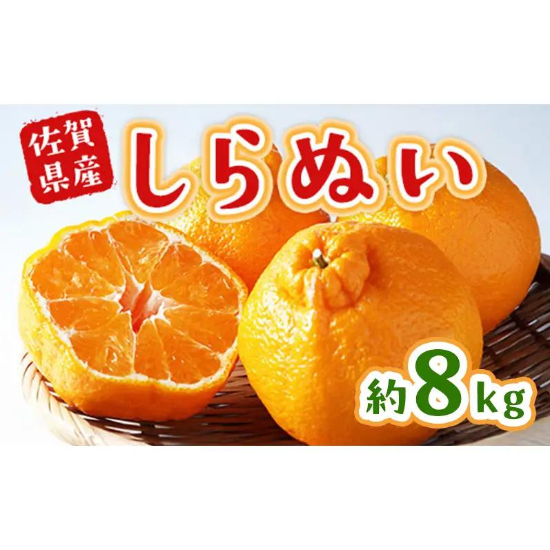 不知火 しらぬい 約8kg 柑橘 みかん ジュース ゼリー シャーベット 果物 フルーツ デザート ※配送不可:離島