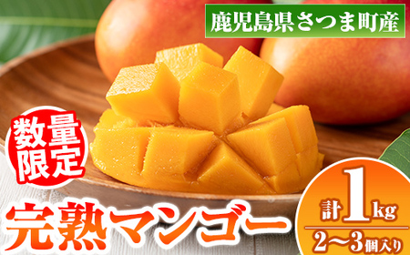 s410 ≪数量限定≫完熟マンゴー(化粧箱入り2～3玉・計1kg) 鹿児島 国産 九州産 マンゴー フルーツ 完熟 果物 果実 ギフト プレゼント 贈答 【祝迫果樹園】