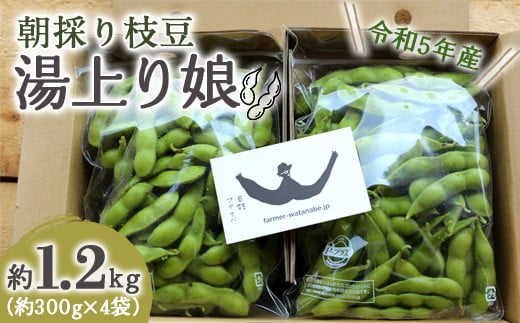 
朝採り枝豆 「湯上り娘」 約1.2kg 《令和5年8月発送》『最上園』 山形県 南陽市 [683]
