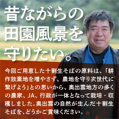 ふるさと納税 雲南市 奥出雲特産 十割生そば×そばつゆセット(2人前×2袋)安心の無添加・グルテンフリー食品 |  | 01
