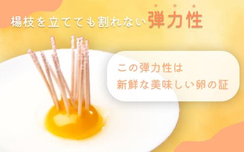 太陽の下放し飼いわんぱく卵「10個入×3パック」