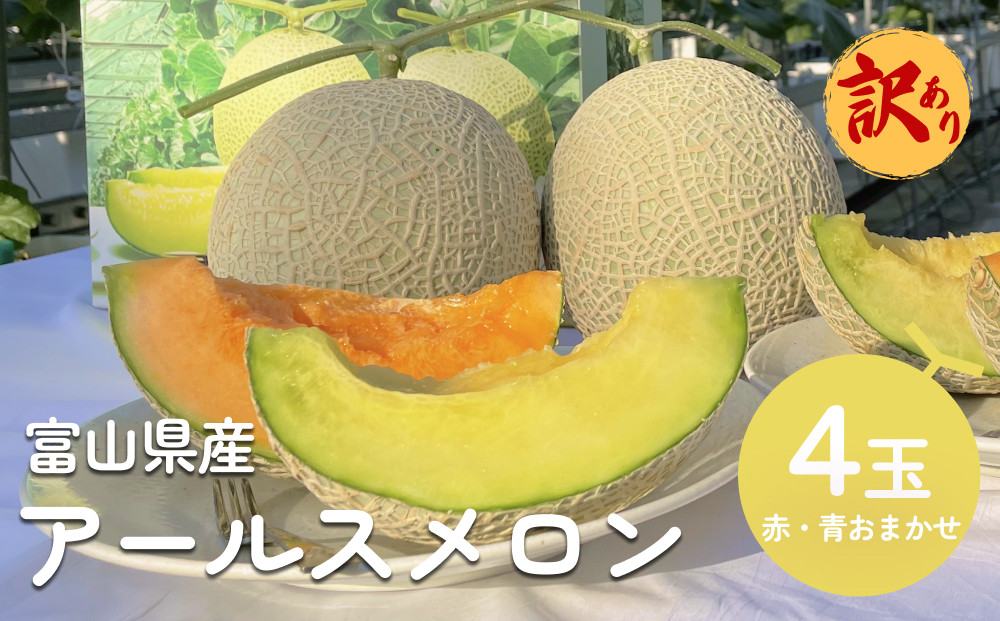 
            【訳あり】アールスメロン 4個セット（赤青おまかせ） 富山県 氷見市 メロン めろん 果物 くだもの フルーツ
          