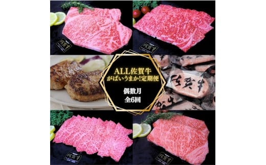 【偶数月に計６回】ALL 佐賀牛 がばいうまか 定期便 999-J1389
