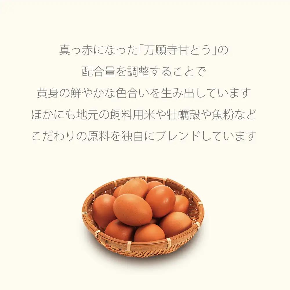 チーズケーキ 缶詰 6缶セット スイーツ 缶詰