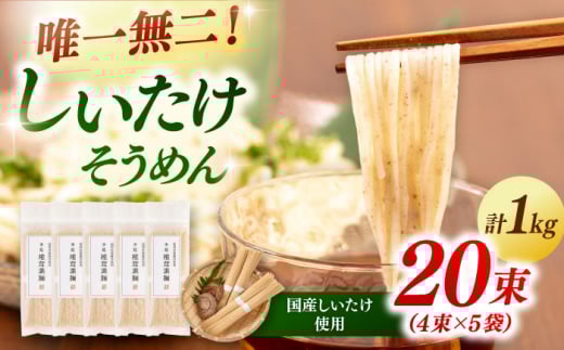 しいたけ素麺 20束 ▼素麺 しいたけ シイタケ麺 そうめん　島原素麺 椎茸 手延べそうめん　桂川町/オドラ株式会社 [ADBA008]