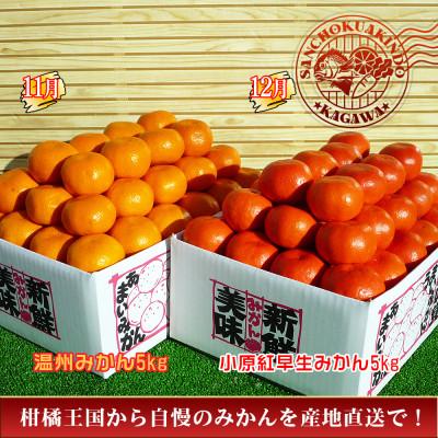 ふるさと納税 坂出市 【発送月固定定期便】創業100年坂出産のフルーツとさぬきの特産品の定期便【Cコース5回】全5回 |  | 03