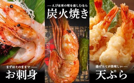 訳あり ぼたんえび 1kg 小サイズ 75尾前後【05112】